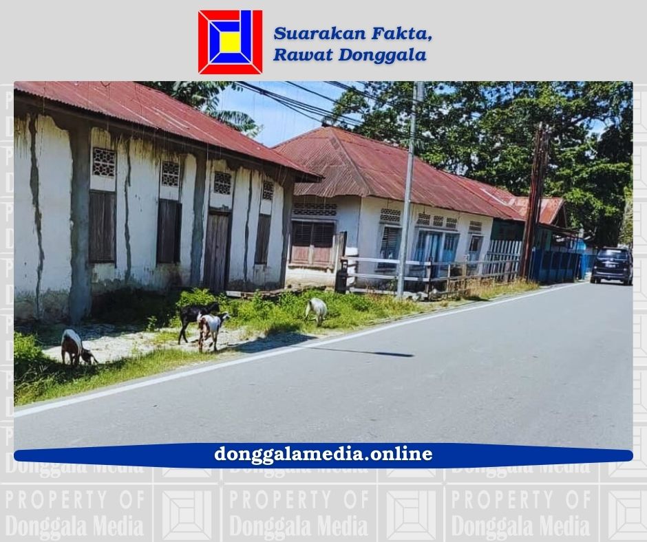 Anggaran Tidak Jelas Oknum Satgas Ternak Menyerah Tangkap Ternak