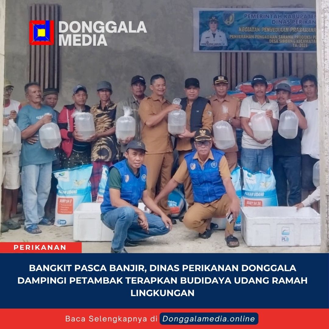 Bangkit Pasca Banjir, Dinas Perikanan Donggala Dampingi Petambak Terapkan Budidaya Udang Ramah Lingkungan