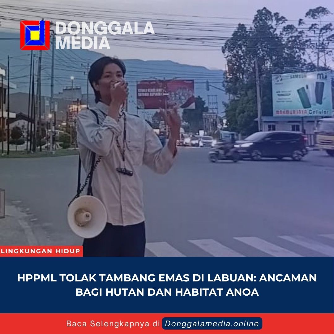 HPPML Tolak Tambang Emas di Labuan: Ancaman bagi Hutan dan Habitat Anoa